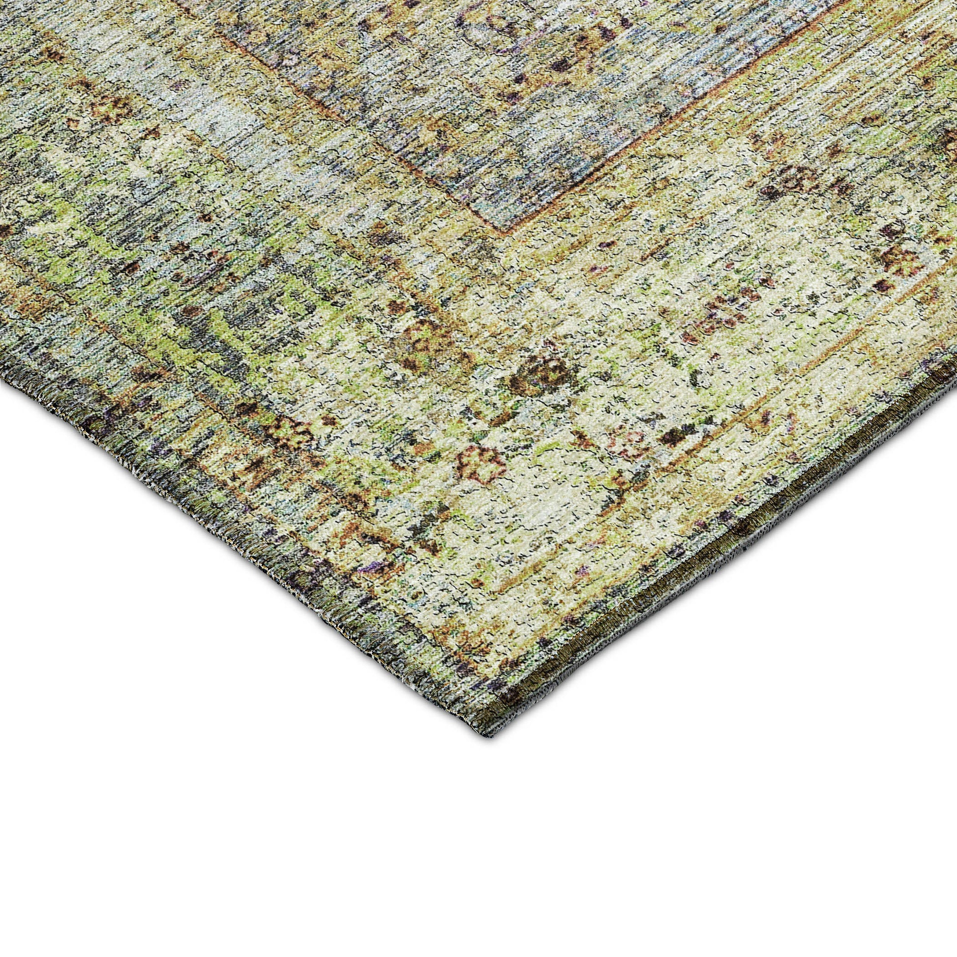 Dalyn Rugs Karaj  Aloe  Traditional