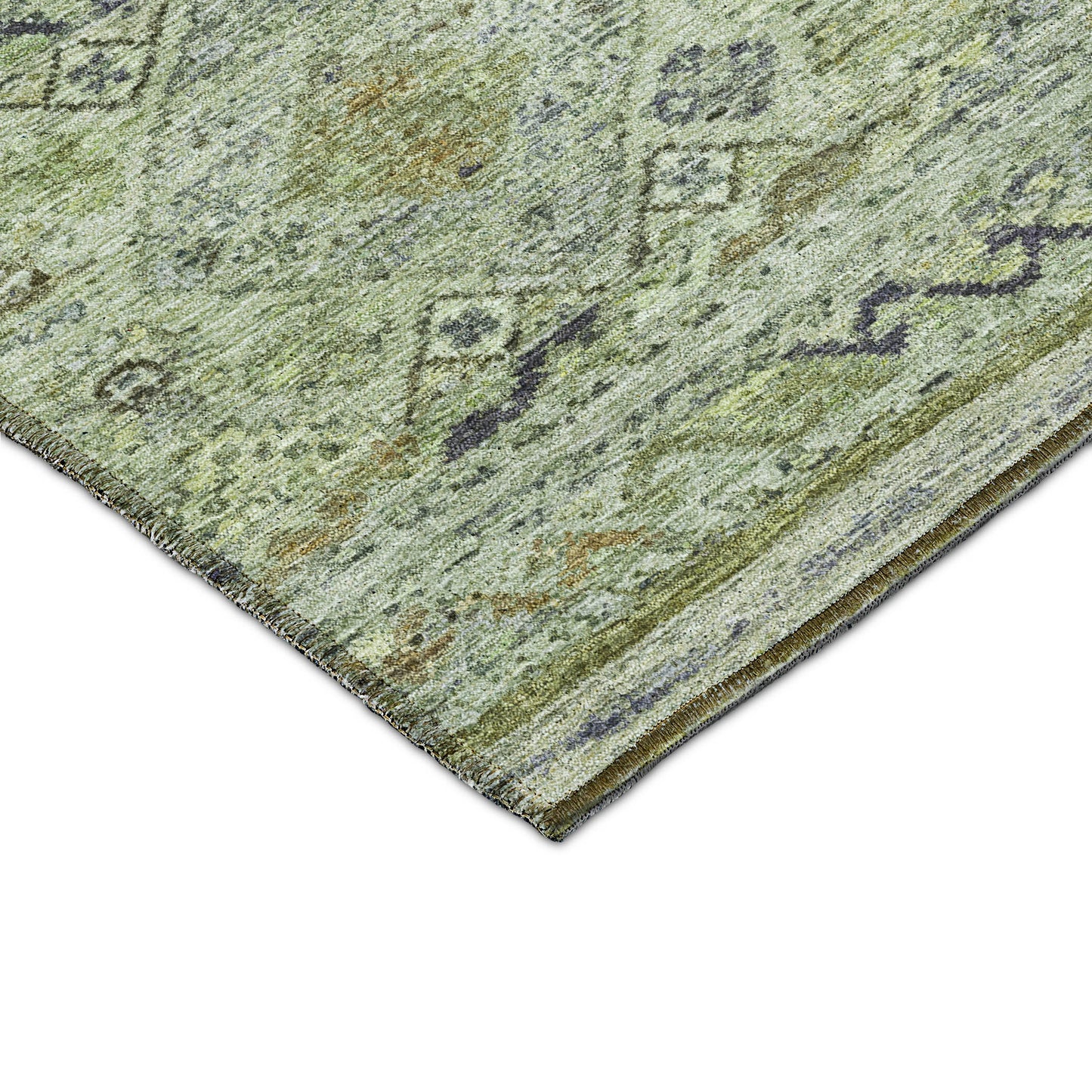 Dalyn Rugs Karaj  Aloe  Traditional