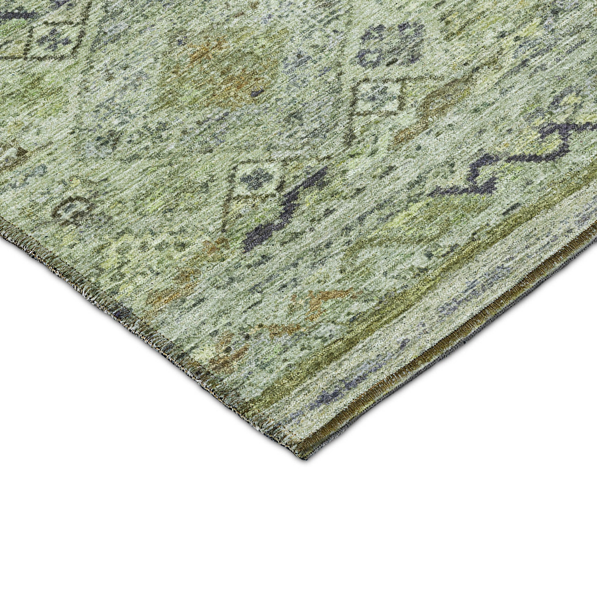 Dalyn Rugs Karaj  Aloe  Traditional