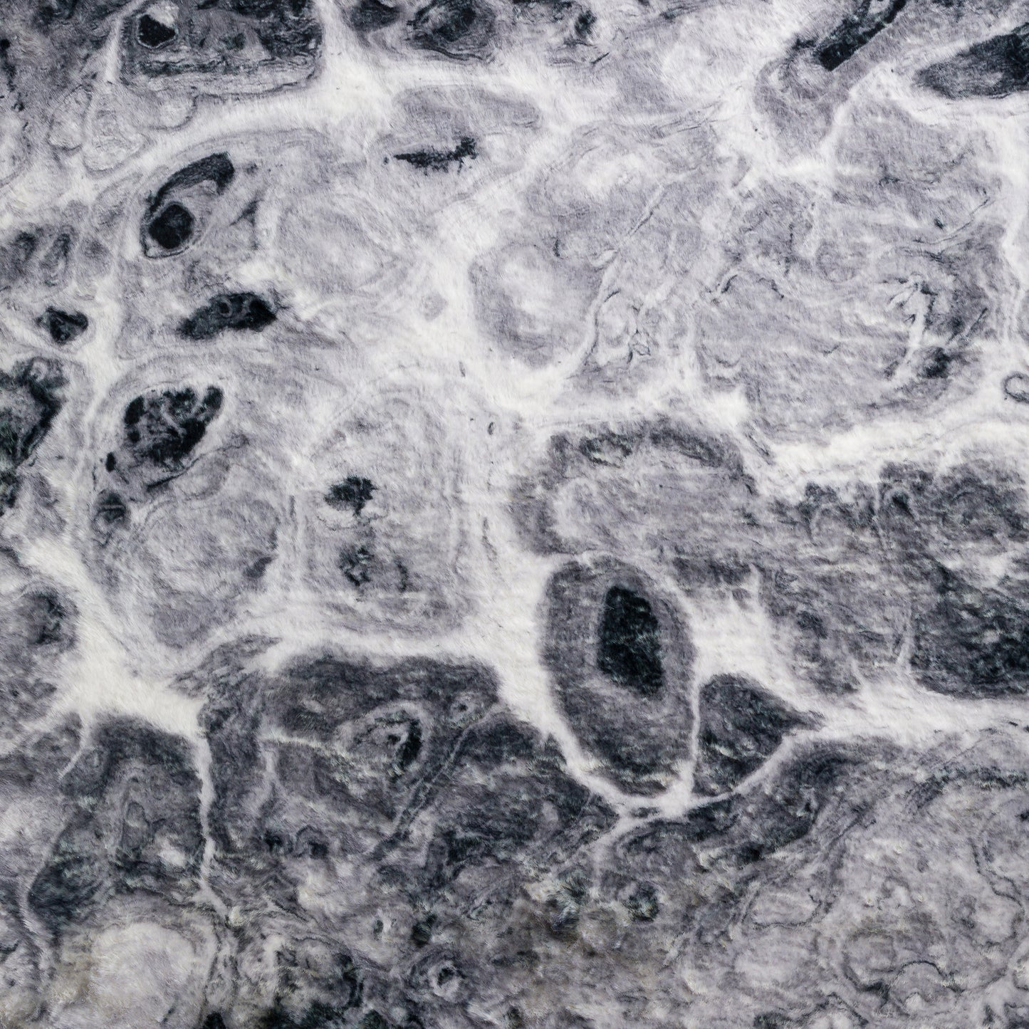 Dalyn Rugs Kikiamo  Marble  Contemporary