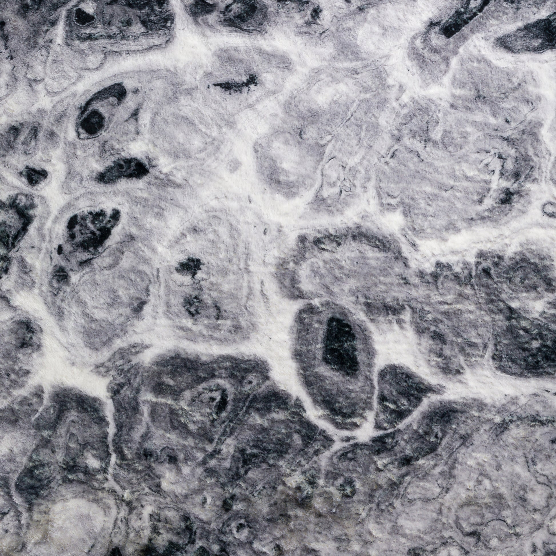 Dalyn Rugs Kikiamo  Marble  Contemporary