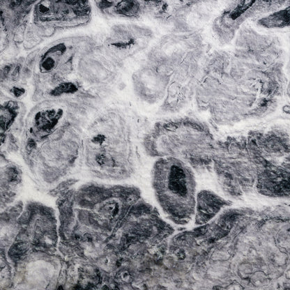 Dalyn Rugs Kikiamo  Marble  Contemporary