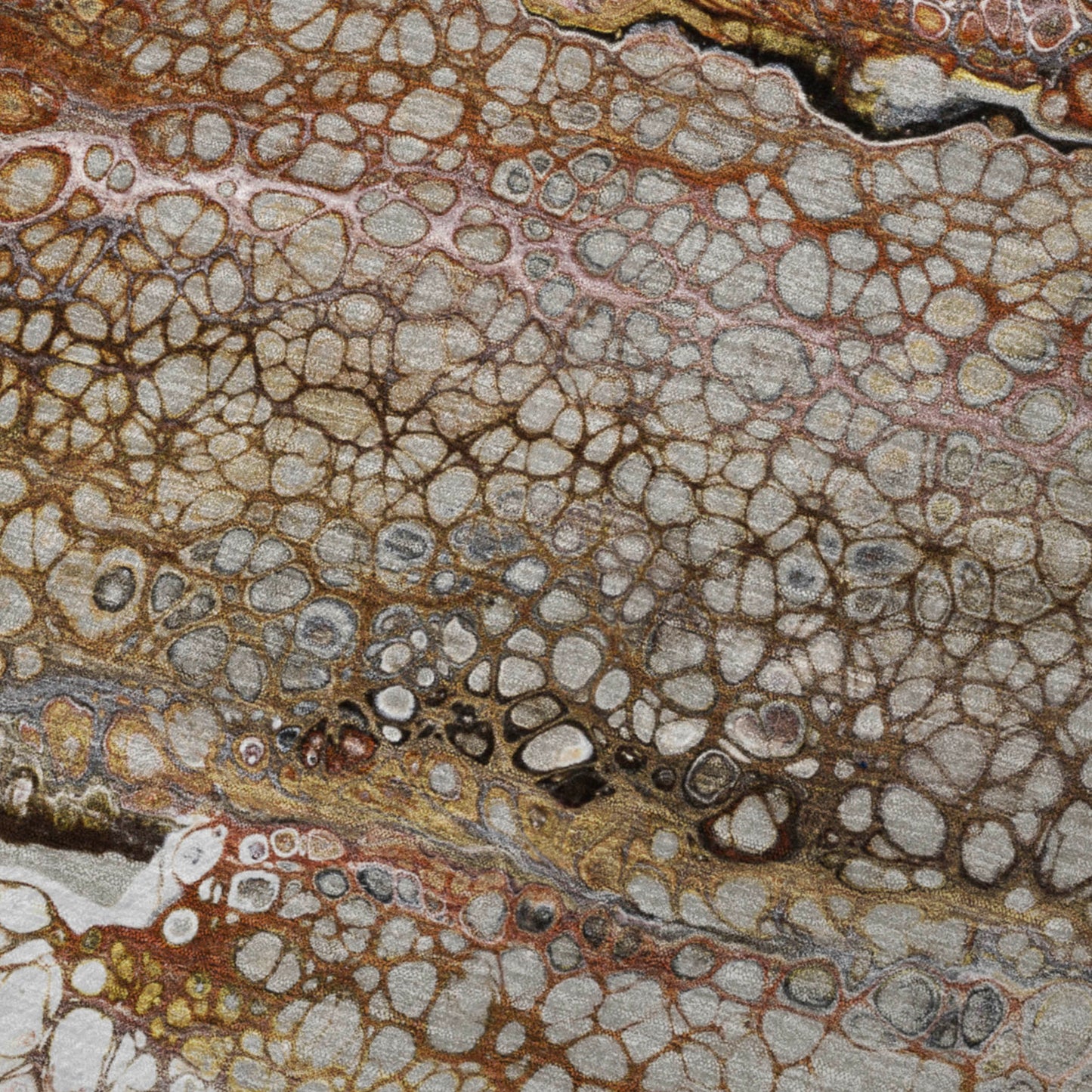 Dalyn Rugs Kikiamo  Canyon  Contemporary