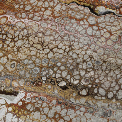 Dalyn Rugs Kikiamo  Canyon  Contemporary