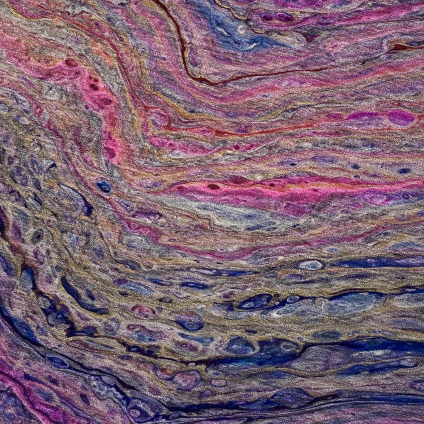 Dalyn Rugs Kikiamo  Passion  Contemporary