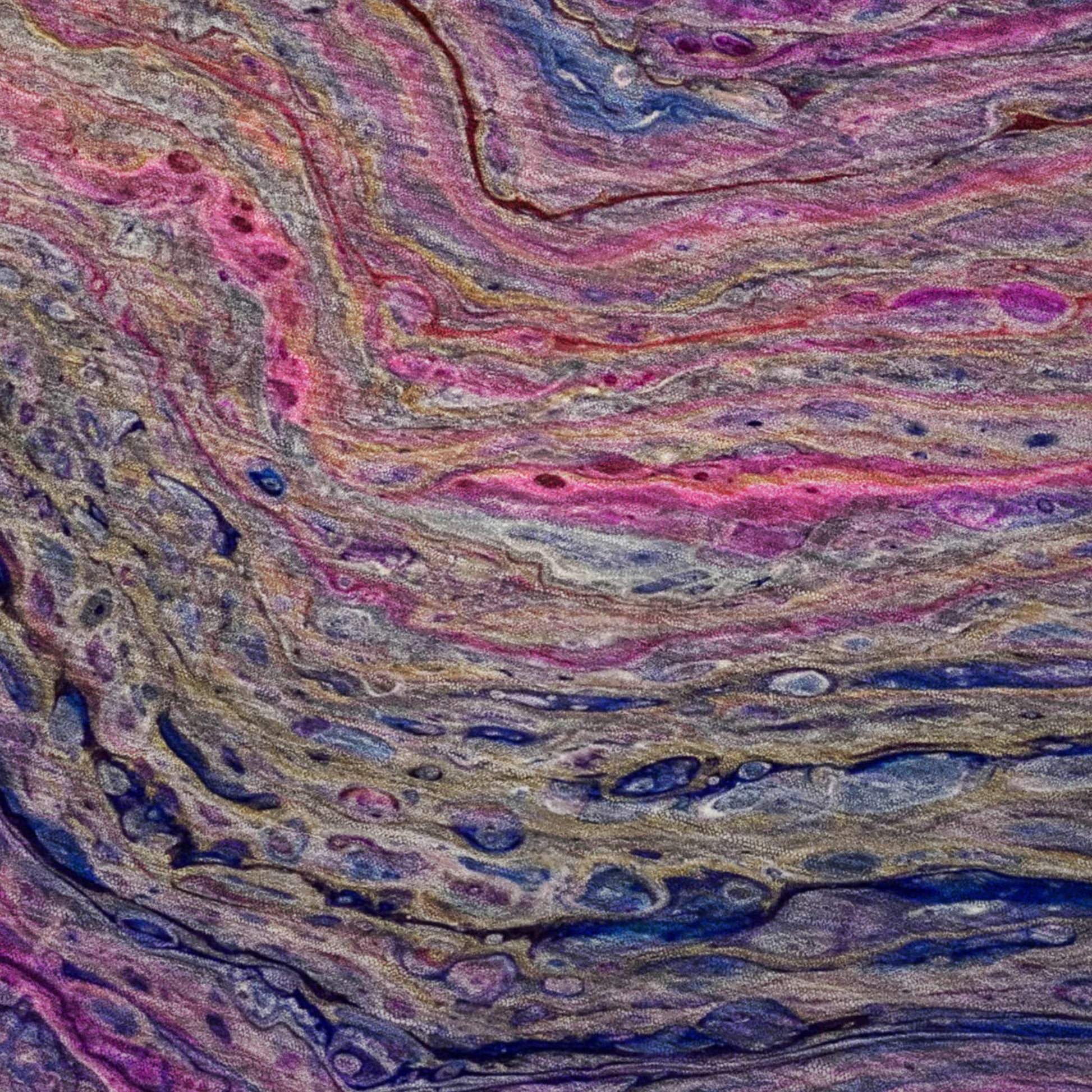 Dalyn Rugs Kikiamo  Passion  Contemporary