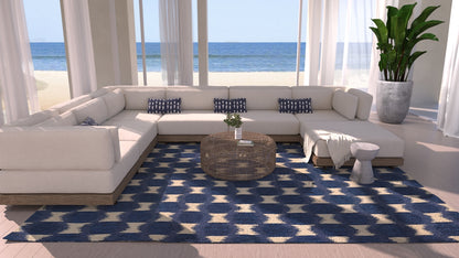 Momeni Leiden  Navy  Transitional