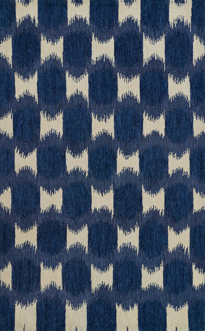 Momeni Leiden  Navy  Transitional