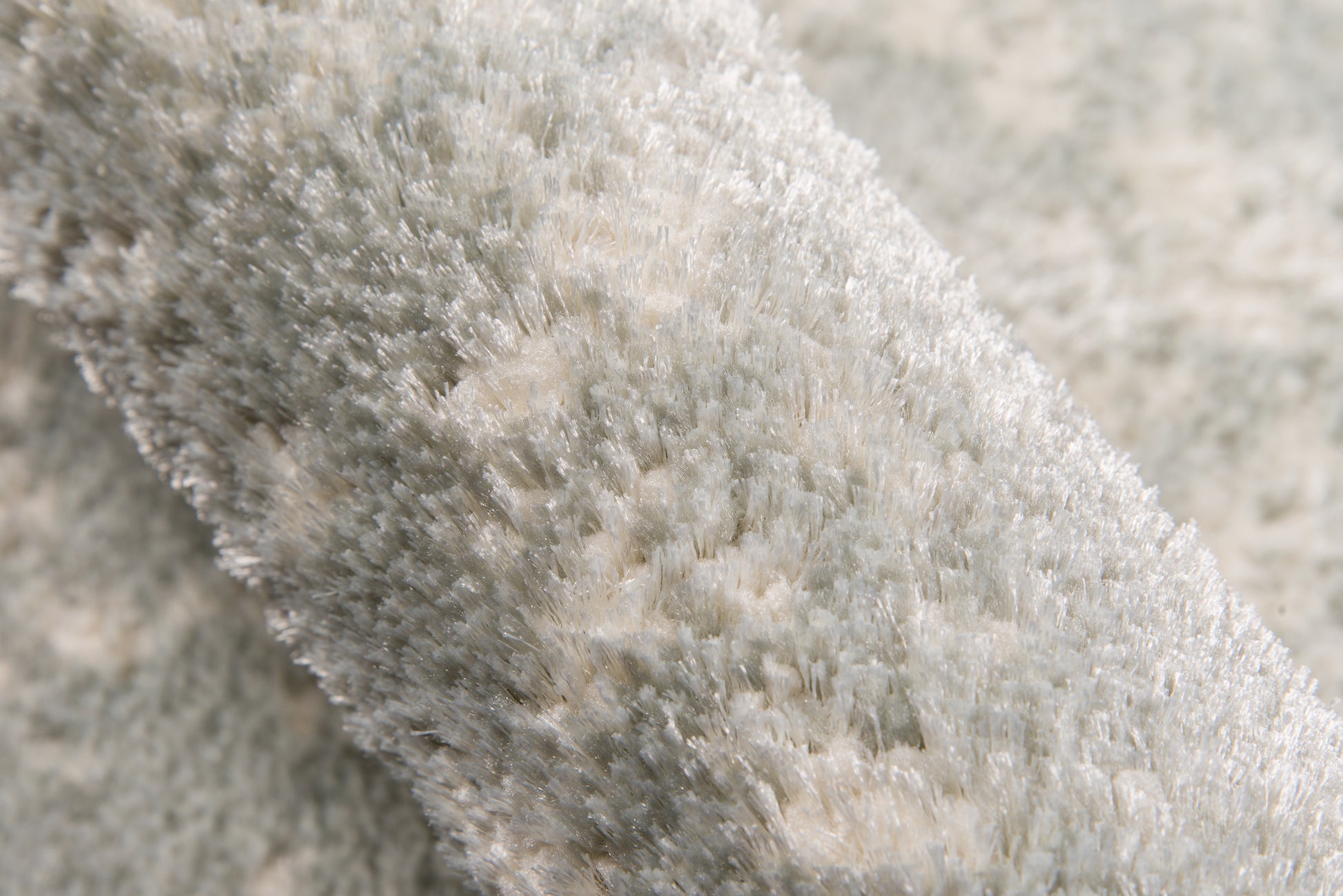 Momeni Lima  Beige  Contemporary