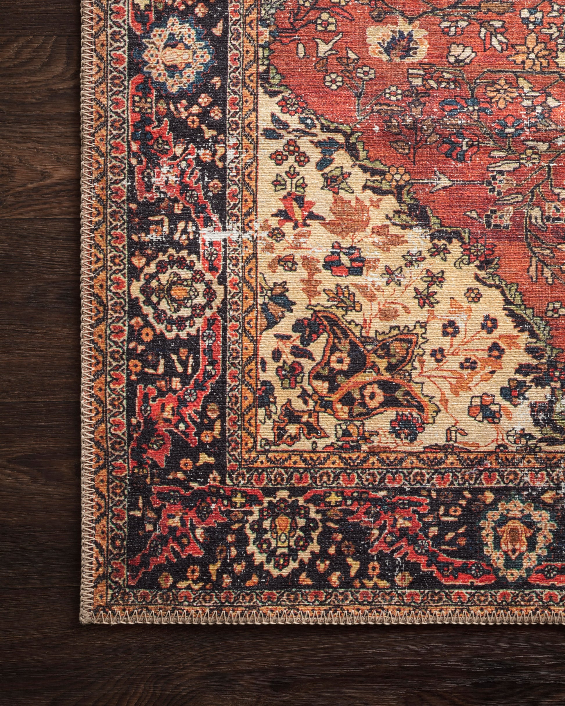 Loloi Loren  Red Navy Transitional