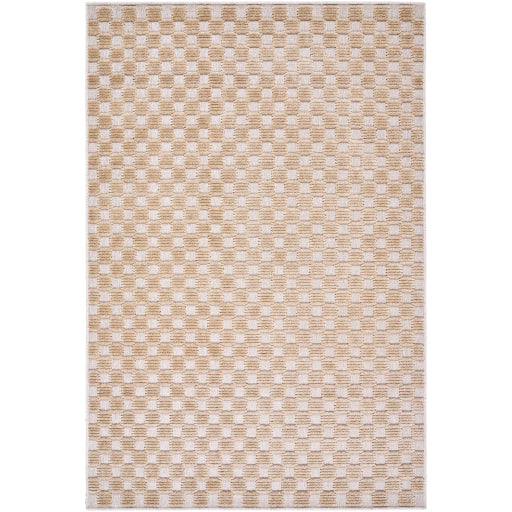 Surya Lyna LYA-2342 Beige Modern  Rug