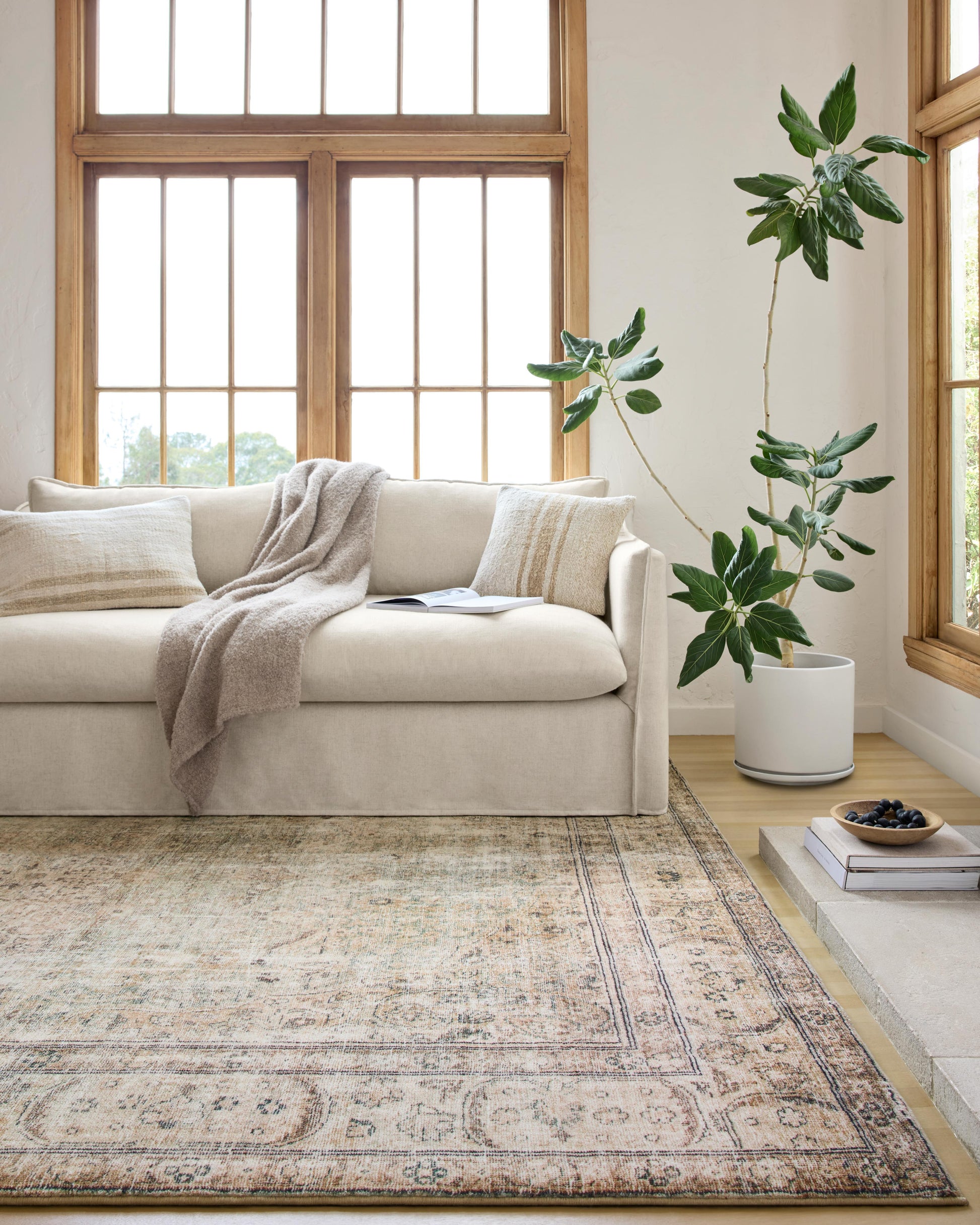 Loloi Margot  Antique Sage Traditional