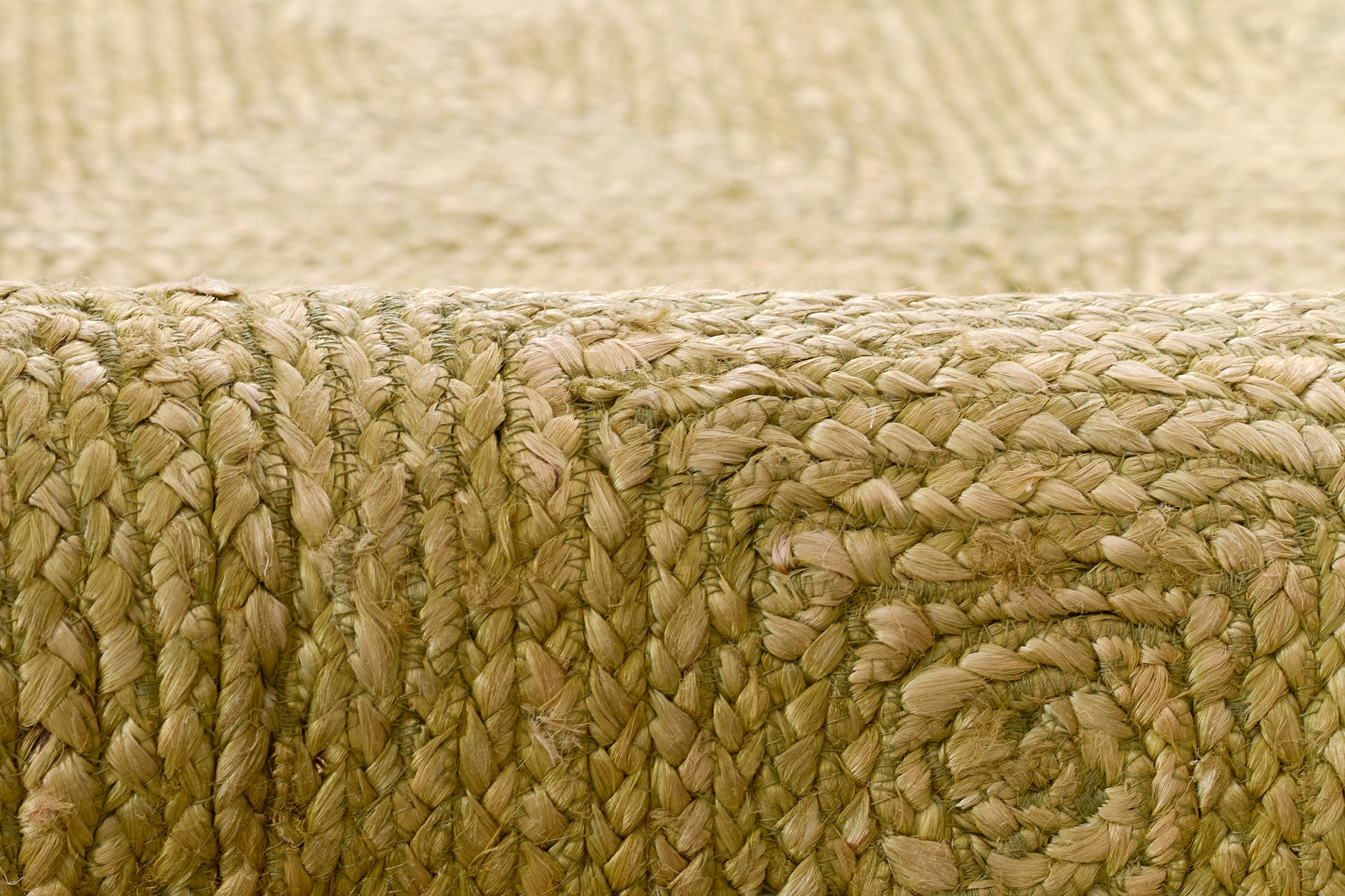 Momeni Maritime  Green  Contemporary