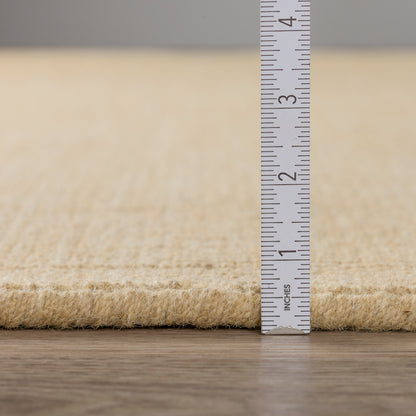 Dalyn Rugs Monaco Sisal  Honey  Transitional