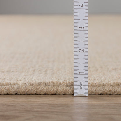 Dalyn Rugs Monaco Sisal  Taupe  Transitional