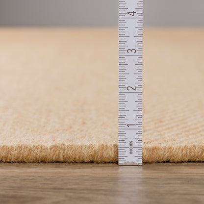 Dalyn Rugs Monaco Sisal  Ecru  Transitional