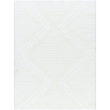 Surya Nomadic NMC-2304 Ivory Global  Rug