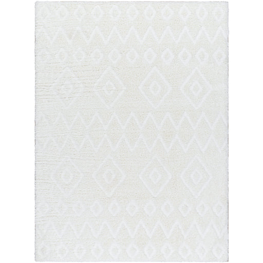 Surya Nomadic NMC-2306 Ivory Modern  Rug