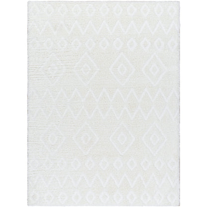 Surya Nomadic NMC-2306 Ivory Modern  Rug