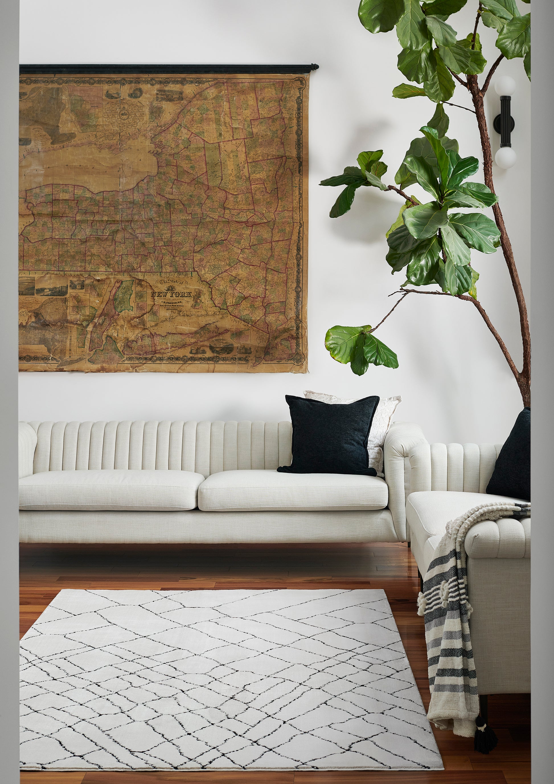 Momeni Noho  Ivory  Contemporary