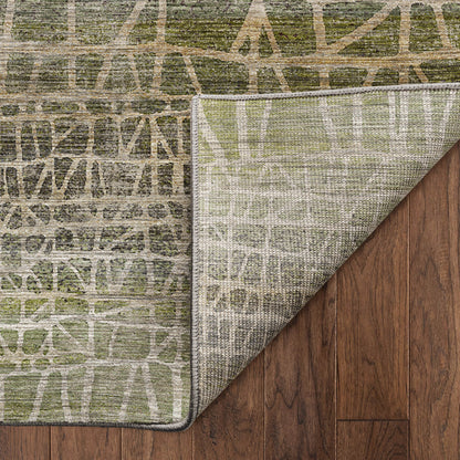 Dalyn Rugs Nexus  Fern  Transitional
