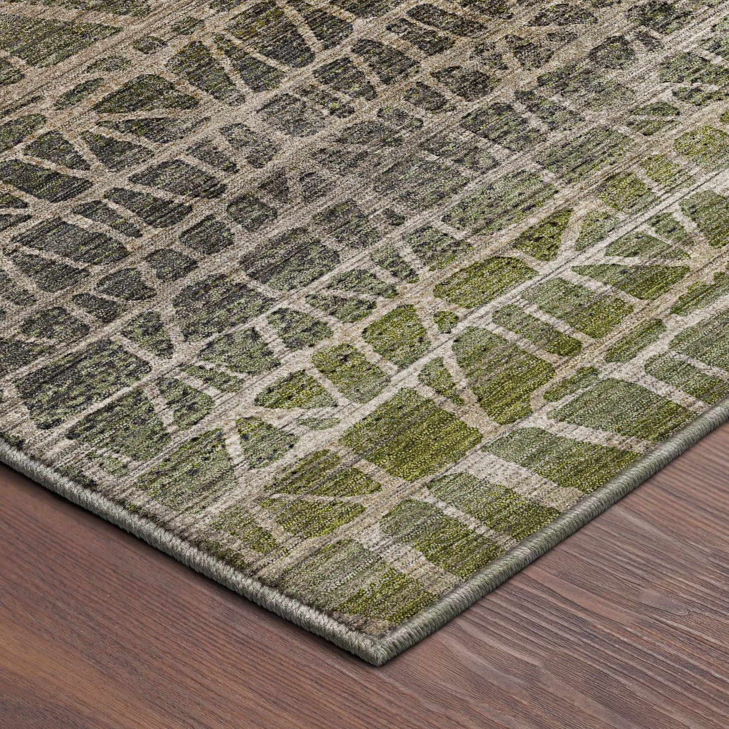 Dalyn Rugs Nexus  Fern  Transitional