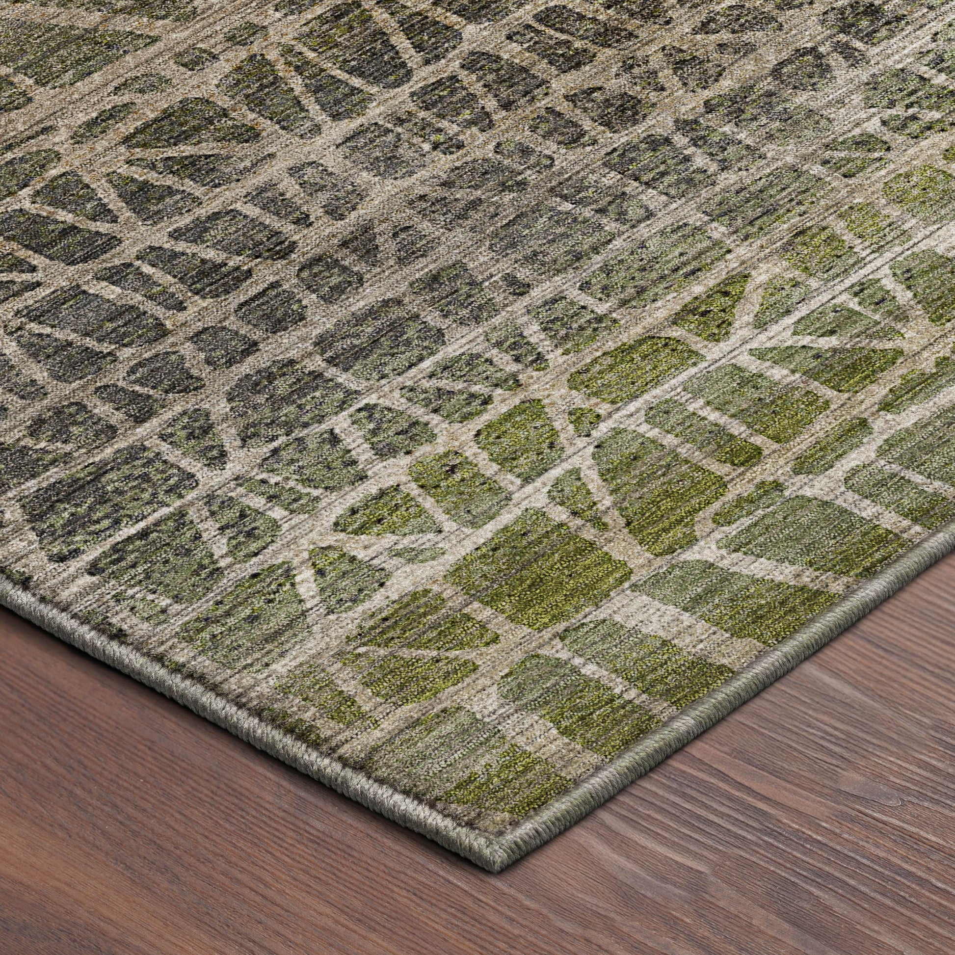 Dalyn Rugs Nexus  Fern  Transitional