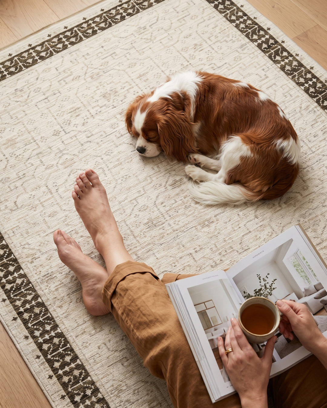 Oriental Weavers Acacia ACA02 Beige Brown rug with cozy reading nook and sleeping dog