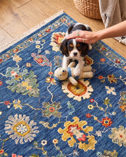Oriental Weavers Lucca 2863B Blue Multi floral area rug with puppy on rug