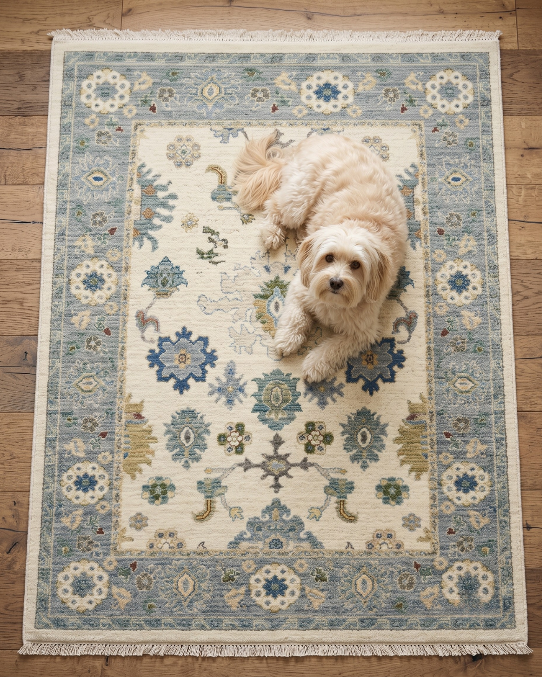 Oriental Weavers Lucca 846H1 Ivory Blue traditional rug with dog