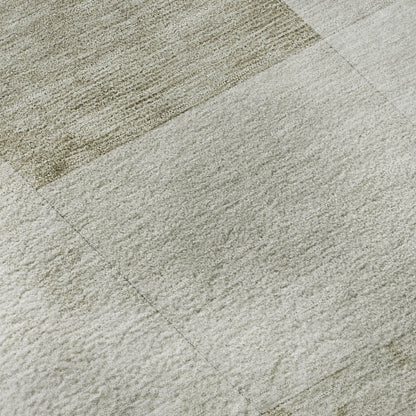 Dalyn Rugs Pacifica  Beige  Transitional
