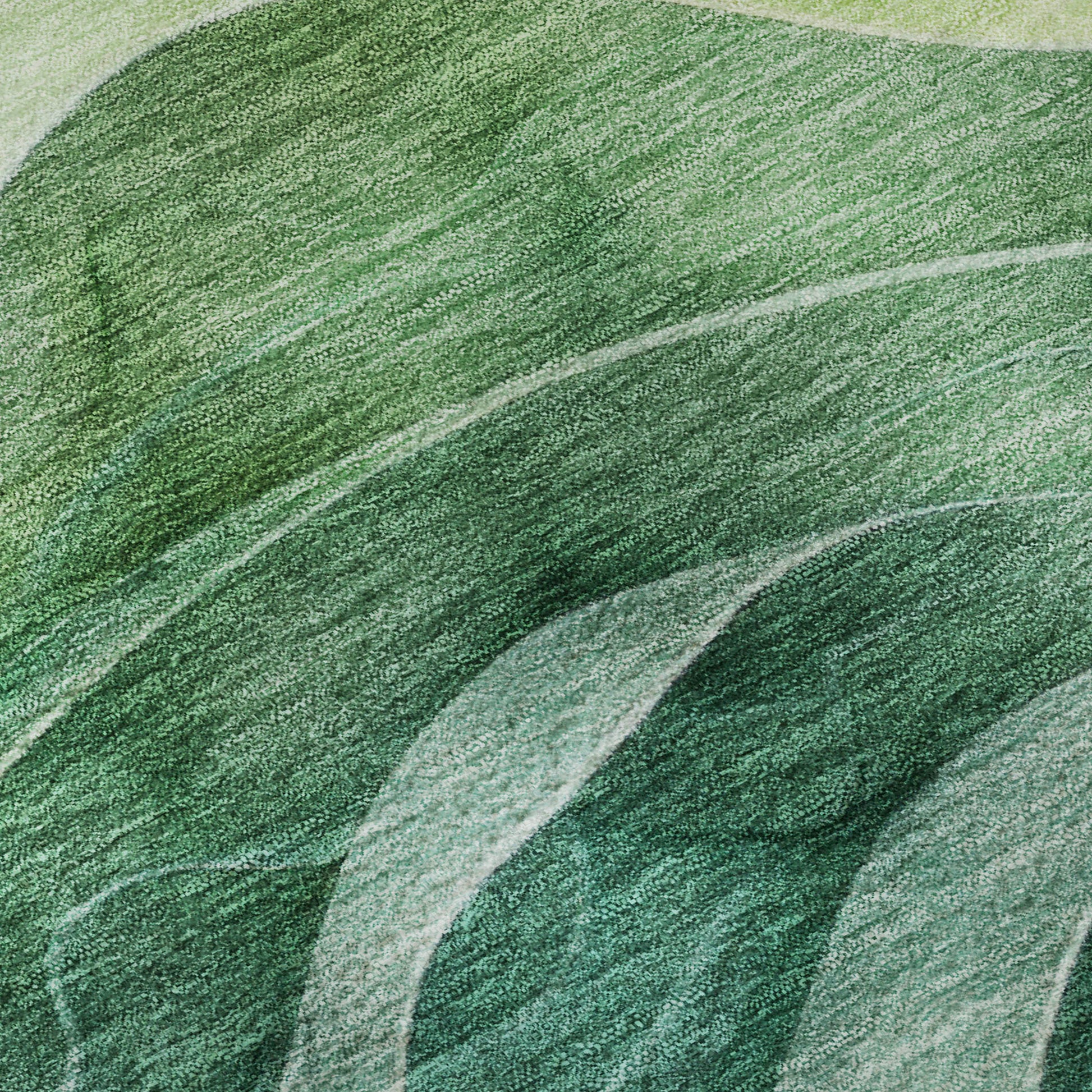 Dalyn Rugs Pacifica  Teal  Transitional