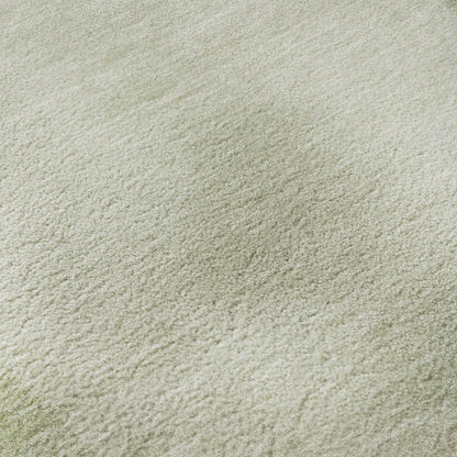 Dalyn Rugs Pacifica  Aloe  Transitional