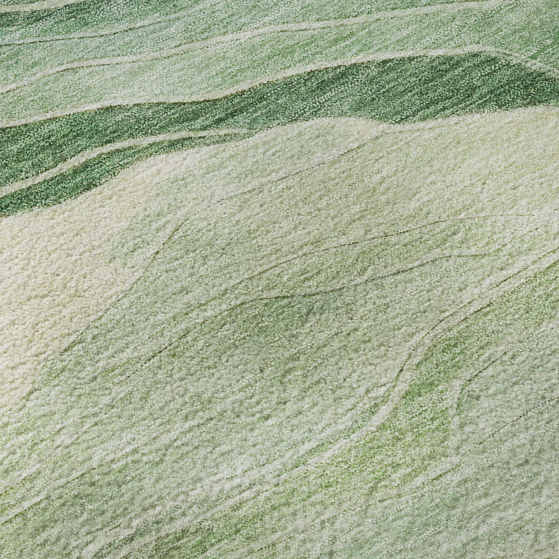 Dalyn Rugs Pacifica  Green  Transitional