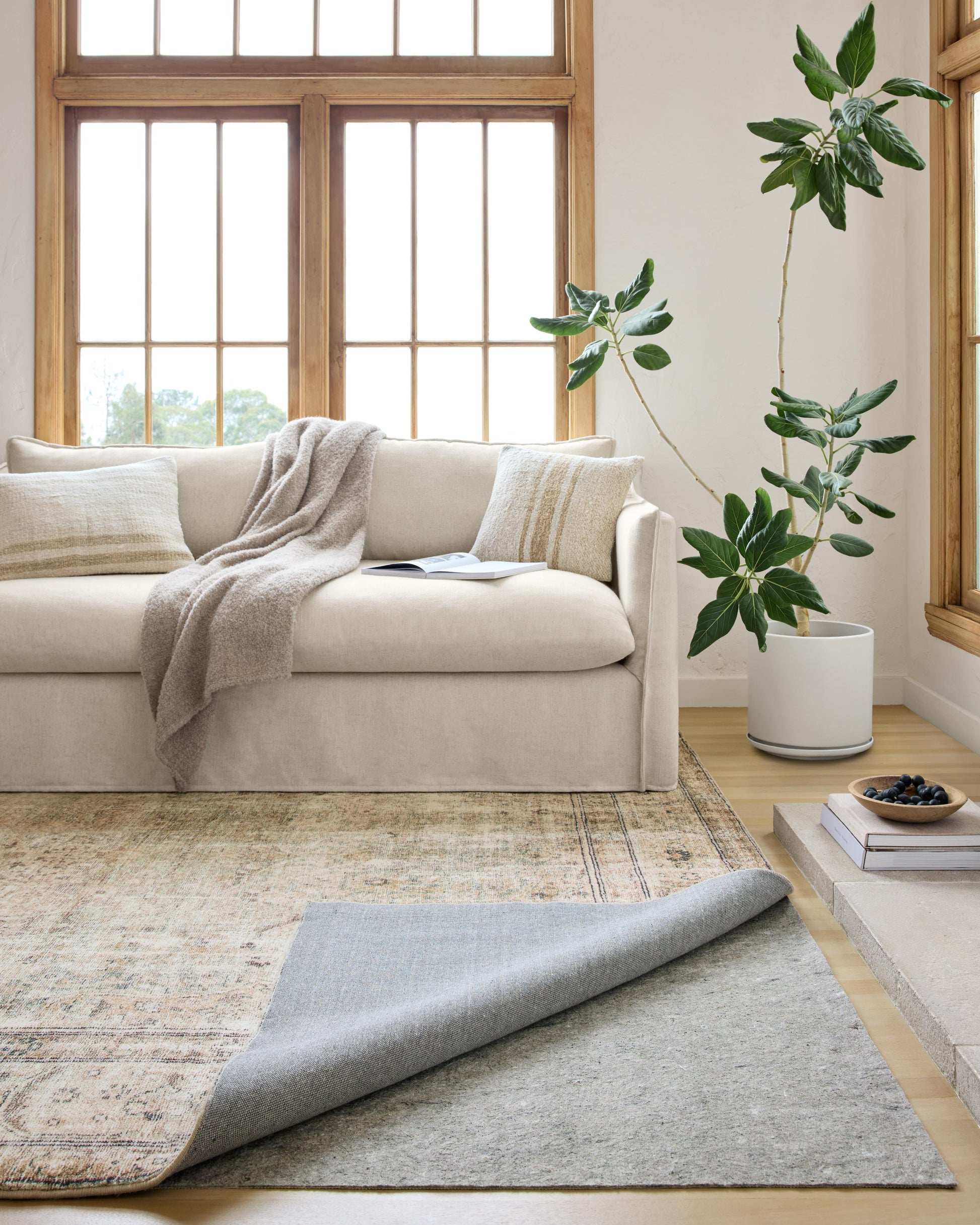 Loloi Loloi- Grip 1/4"   Grey  Rug Pad