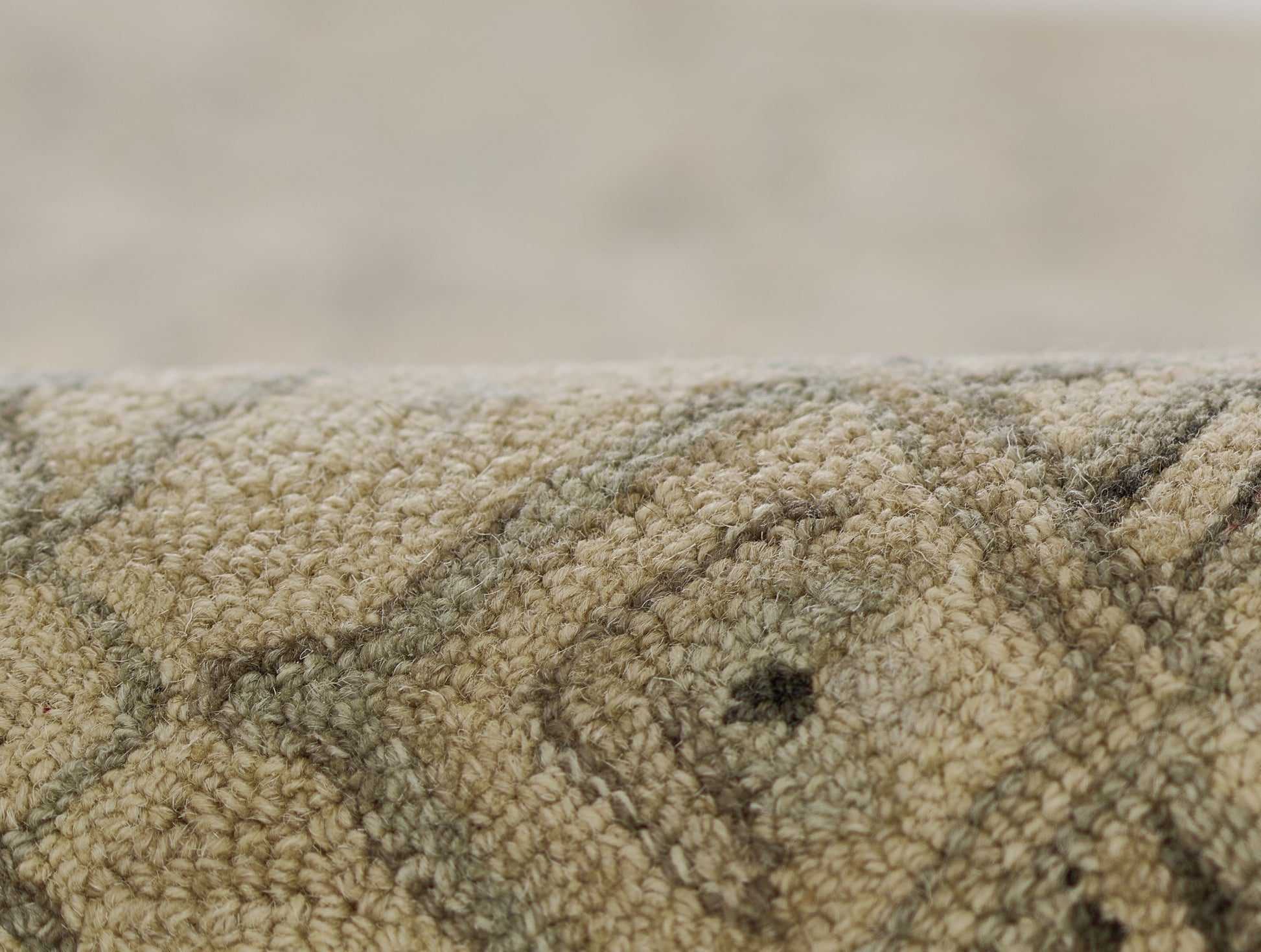 Momeni Pasha  Taupe  Traditional