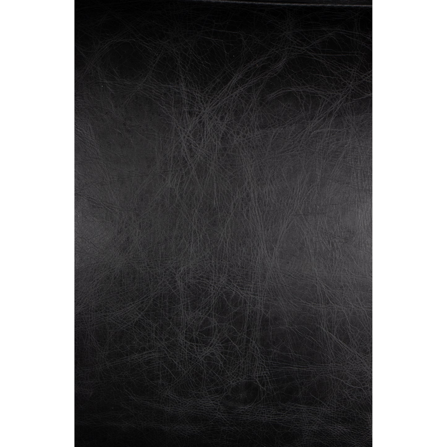 Moes Home Accent Chairs Paradiso Black Art Deco Furniture