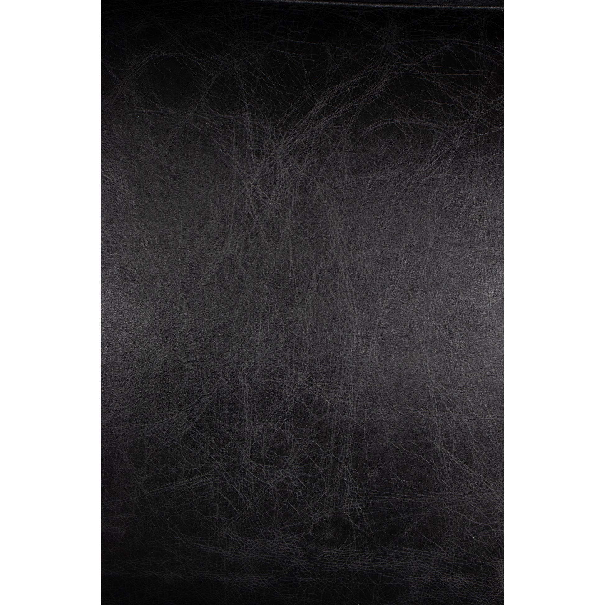 Moes Home Accent Chairs Paradiso Black Art Deco Furniture