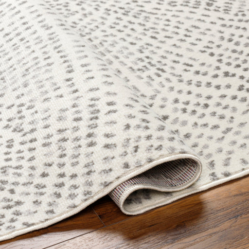 Surya Pisa PSS-2365 Light Gray Modern  Rug