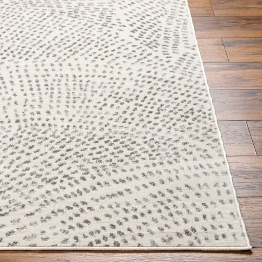 Surya Pisa PSS-2365 Light Gray Modern  Rug