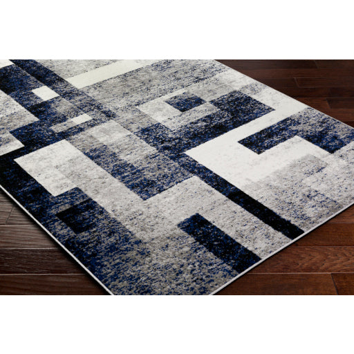 Surya Pisa PSS-2385 Medium Gray Modern  Rug