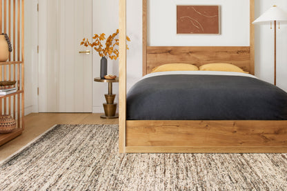 Loloi Reyla  Granite Mocha Contemporary