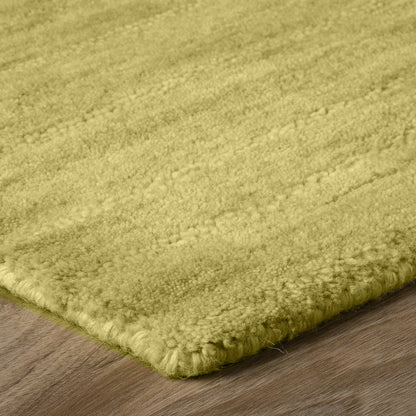 Dalyn Rugs Rafia  Kiwi  Transitional