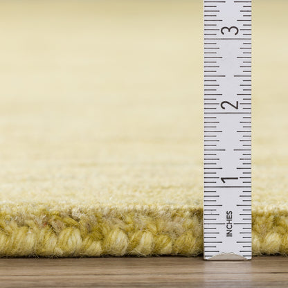 Dalyn Rugs Rafia  Kiwi  Transitional