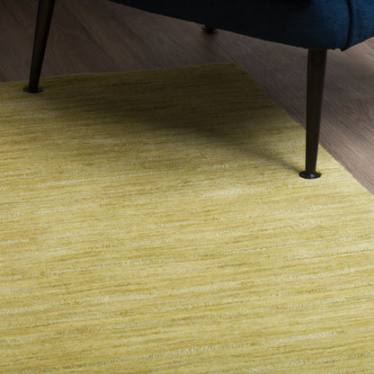 Dalyn Rugs Rafia  Kiwi  Transitional