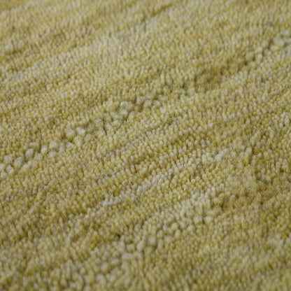 Dalyn Rugs Rafia  Kiwi  Transitional