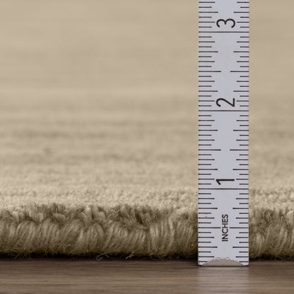 Dalyn Rugs Rafia  Taupe  Transitional