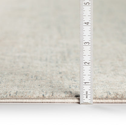 Dalyn Rugs Regal  Putty  Traditional