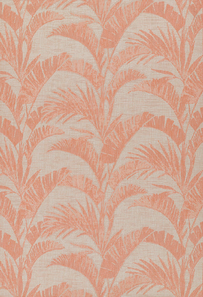 Momeni Riviera  Coral  Transitional