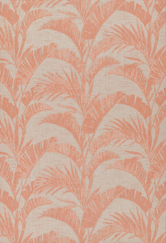 Momeni Riviera  Coral  Transitional